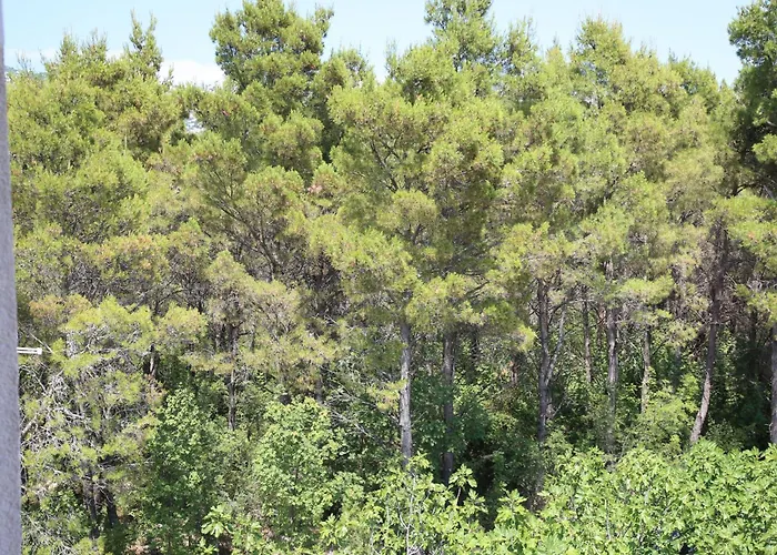 With Parking Space Seline, Paklenica - 24806 *